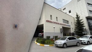 وفاة مفجعة لسيدة في بولو بسبب لدغات القراد