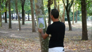 قصة حب نادرة في كوجالي.. مكافأة 10 آلاف ليرة لمن يعيد الحبيبة المفقودة! 31