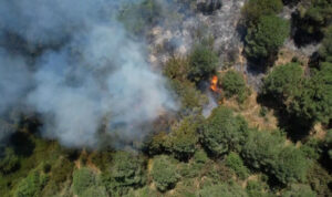 ألسنة اللهب تلتهم غابة في سلطان غازي بإسطنبول