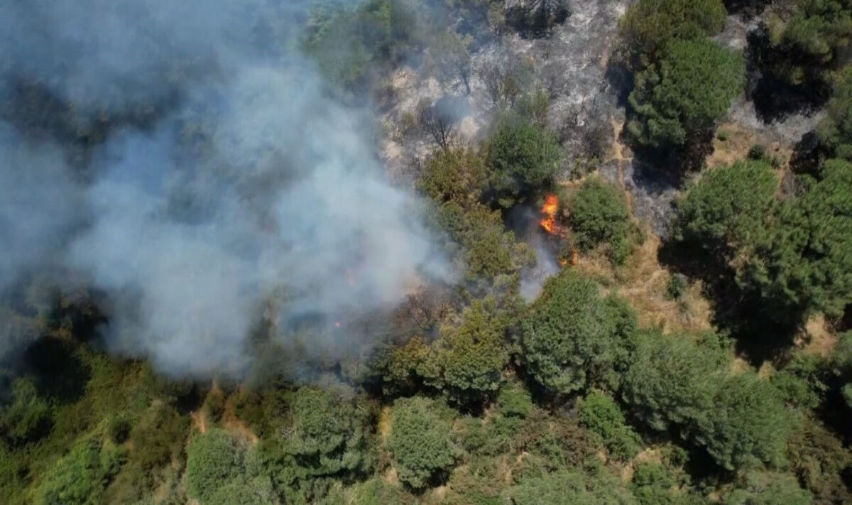 ألسنة اللهب تلتهم غابة في سلطان غازي بإسطنبول 35