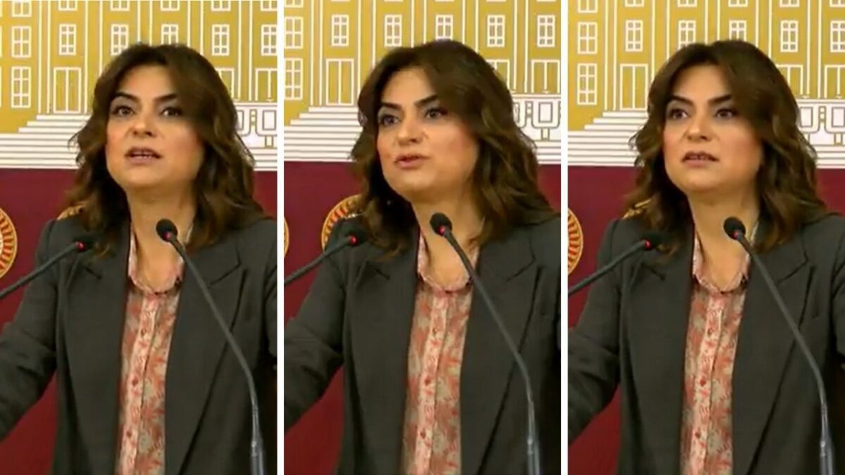 نائبة حزب الشعوب الديمقراطي ترفض اسم "تركيا خالية من الإرهاب" وتطالب بحل ديمقراطي 1