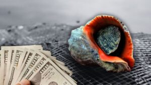 رغم غيابه عن الموائد التركية.. هذا المنتج جلب ملايين الدولارات!