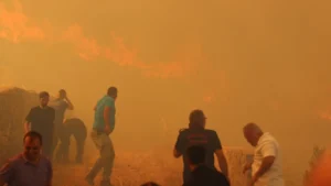 الحرائق تخلّف خسائر فادحة.. وتركيا تُخصص 21 مليون ليرة للمتضررين