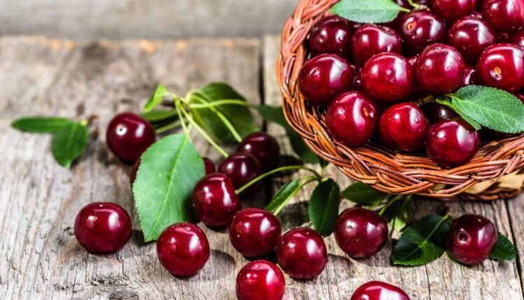 ضربة قاسية للكرز التركي