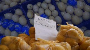 في تركيا.. الليمون صار ذهبًا ويُهدى في الأعراس!