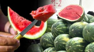 في أسواق تركيا... الذكاء الاصطناعي يختار البطيخ، والبائع يرد: "وينك من صوت التِك تِك؟"