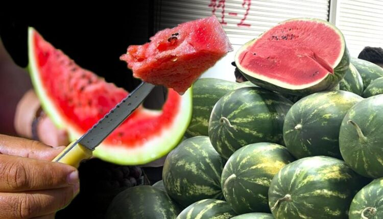 في أسواق تركيا... الذكاء الاصطناعي يختار البطيخ، والبائع يرد: "وينك من صوت التِك تِك؟"