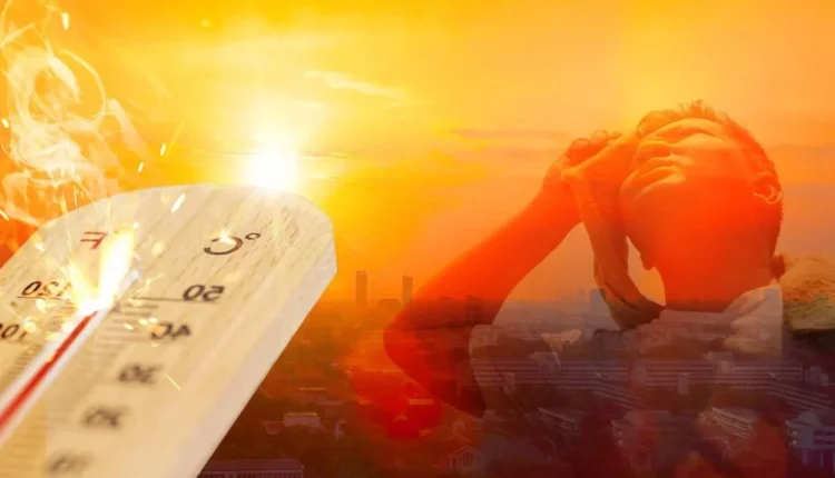 تركيا تسجّل أعلى حرارة في تاريخها