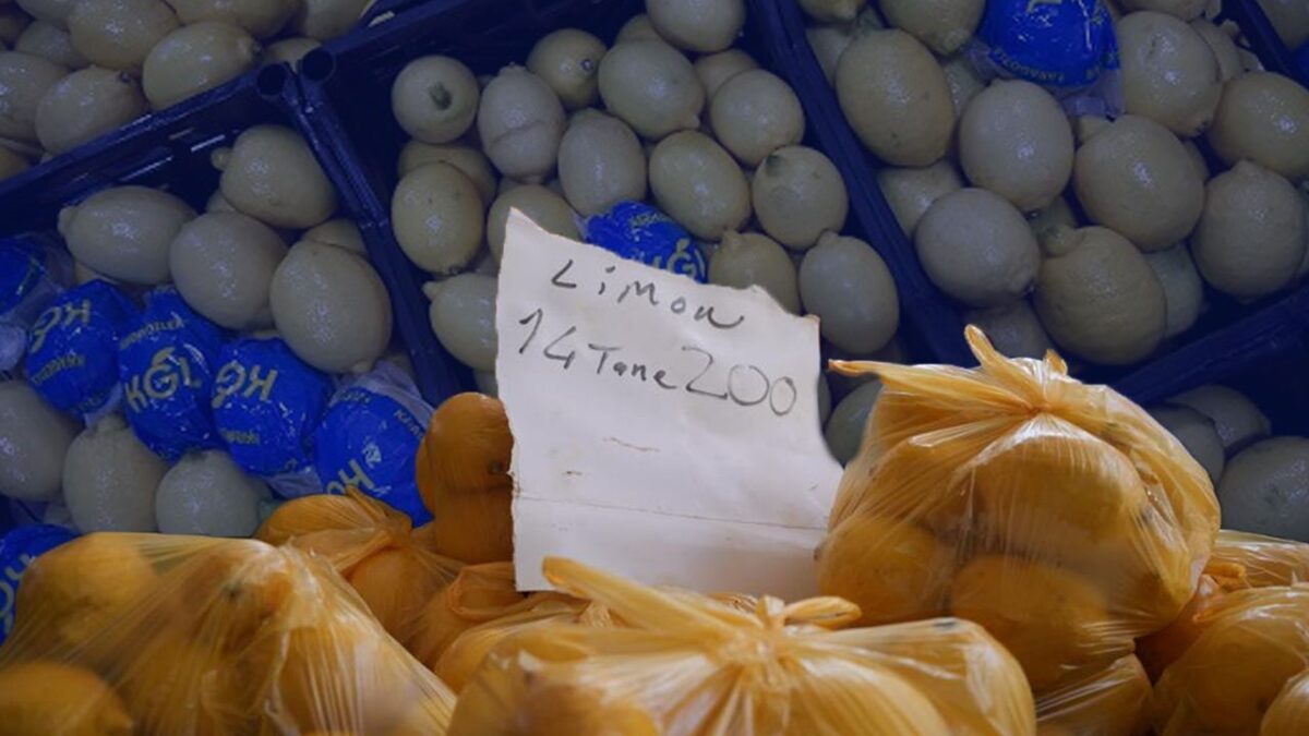 في تركيا.. الليمون صار ذهبًا ويُهدى في الأعراس!