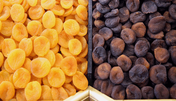 ملاطيا تواجه أسوأ موسم لإنتاج المشمش المجفف في تاريخها