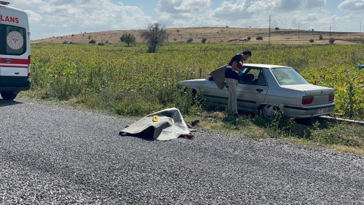 جريمة تهز نوشهر التركية: شقيقان يسقطان في كمين قاتل 29