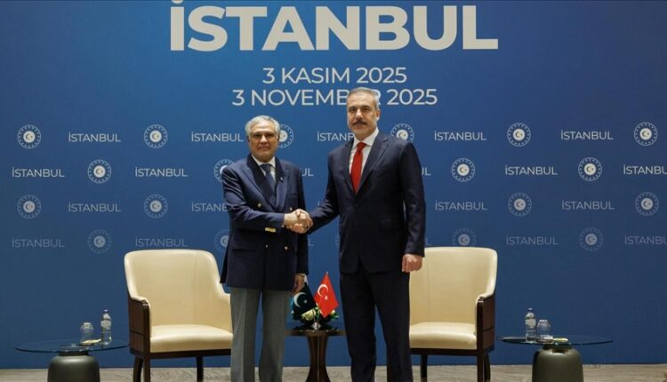 إسطنبول.. وزير الخارجية التركي يلتقي نظيره الباكستاني