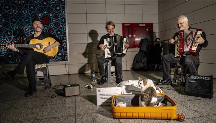 صديقة العازفين.. القطة "سيركجيلي" تبعث الدفء بقلوب المارة في إسطنبول