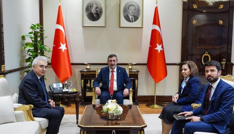 أنقرة.. نائب أردوغان يستقبل رئيس الوكالة الدولية للطاقة