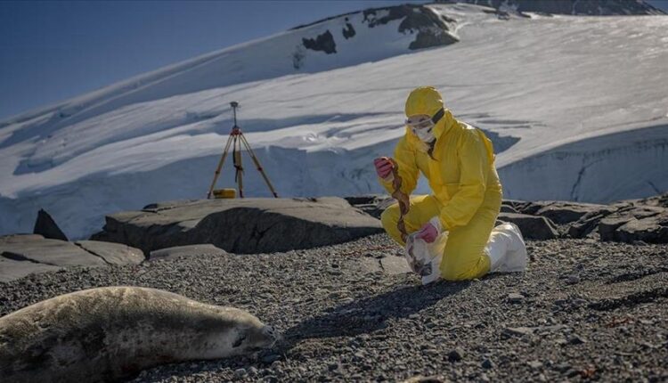في قلب الجليد.. علماء أتراك يستكشفون حلولا صحية وزراعية